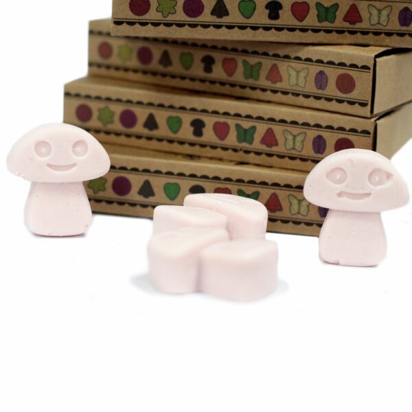 Box of 6  Wax Melts - Dark Sandalwood - Image 4