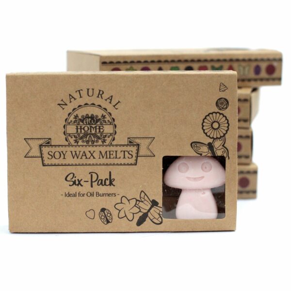 Box of 6  Wax Melts - Dark Sandalwood - Image 5