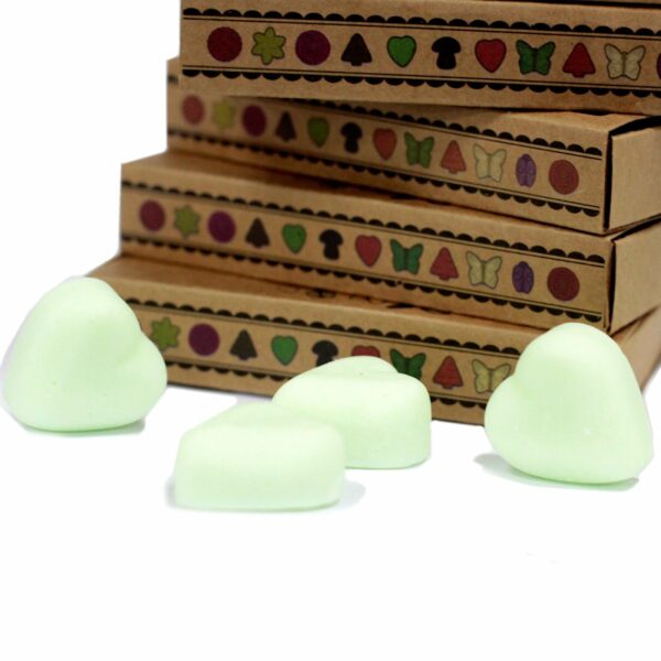 Box of 6 Wax Melts - Watermelon Fresh - Image 3