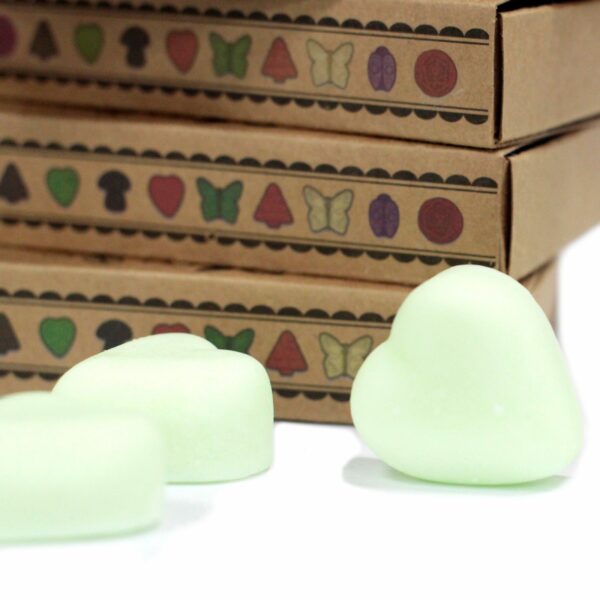 Box of 6 Wax Melts - Watermelon Fresh - Image 4