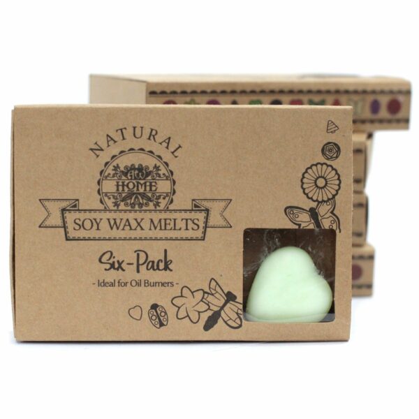 Box of 6 Wax Melts - Watermelon Fresh - Image 5