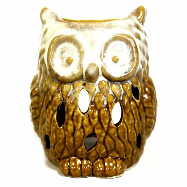 Classic Rustic Oil Burner - Owl (assorted) - Image 4