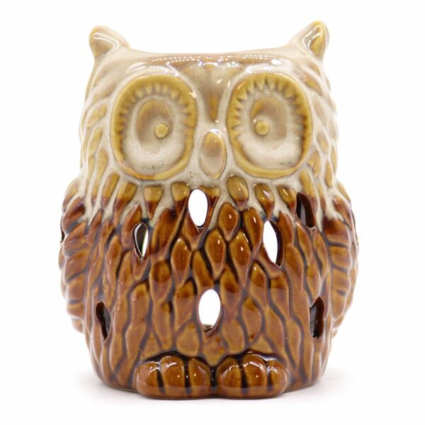 Classic Rustic Oil Burner - Owl (assorted) - Image 8