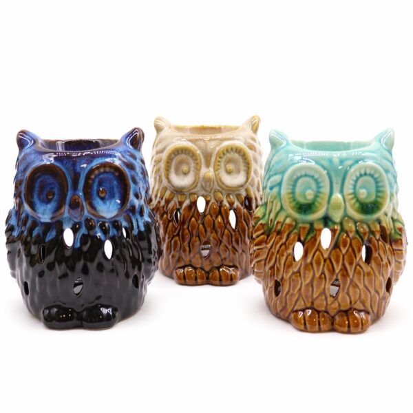 Classic Rustic Oil Burner - Owl (assorted) - Image 12