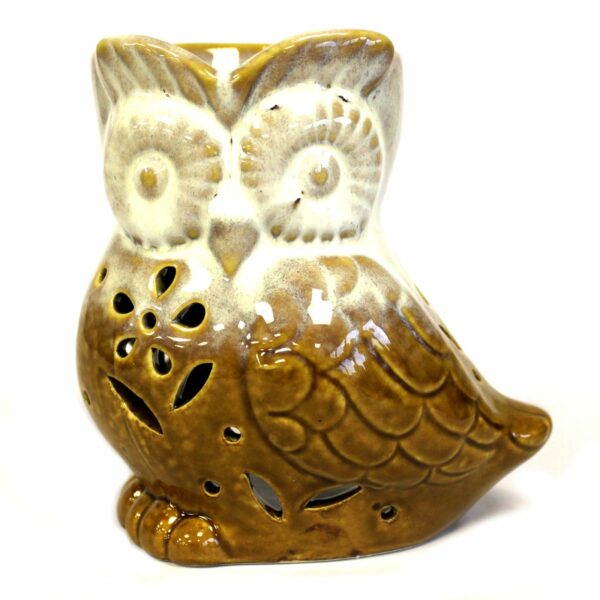 Classic Rustic Oil Burner - Owl Side-on (assorted) - Image 5