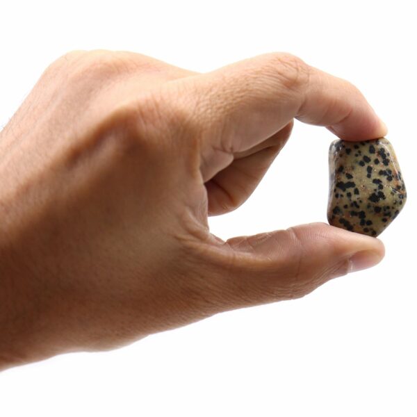 L Tumble Stones - Dalmation Stone - Image 2