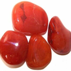 L Tumble Stones - Carnelian