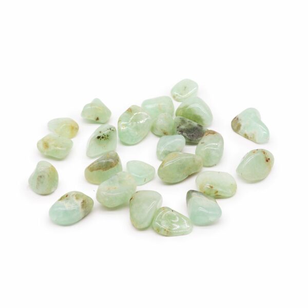 L Tumble Stones - Prehnite - Image 2