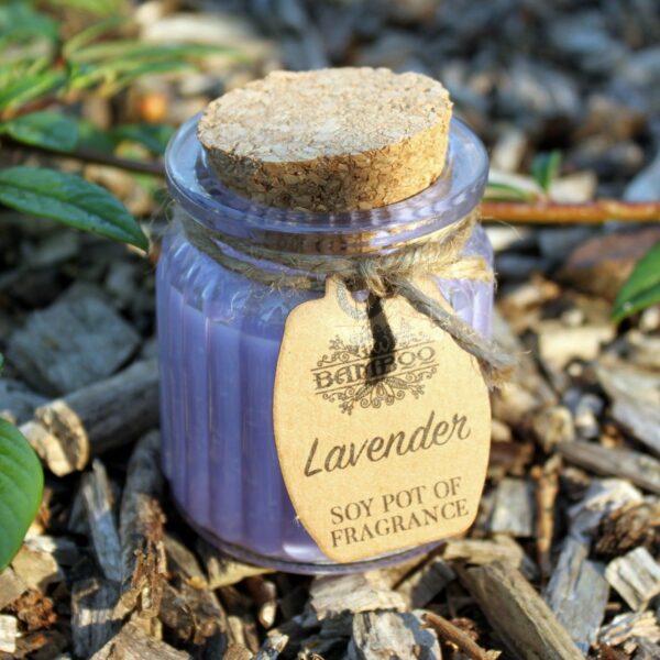 Lavender Soy Pot of Fragrance Candles - Image 5
