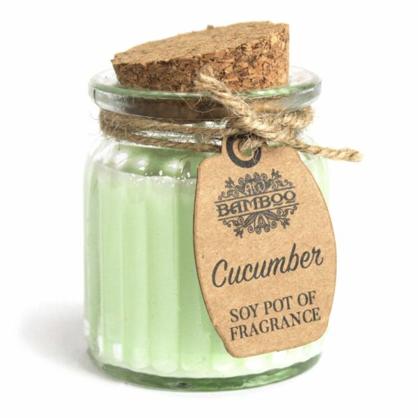 Cucumber Soy Pot of Fragrance Candles - Image 4