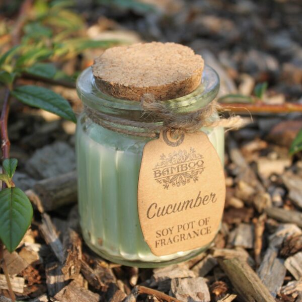 Cucumber Soy Pot of Fragrance Candles - Image 5