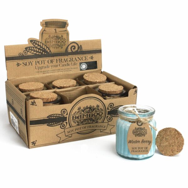 Winter Berry Soy Pot of Fragrance Candles