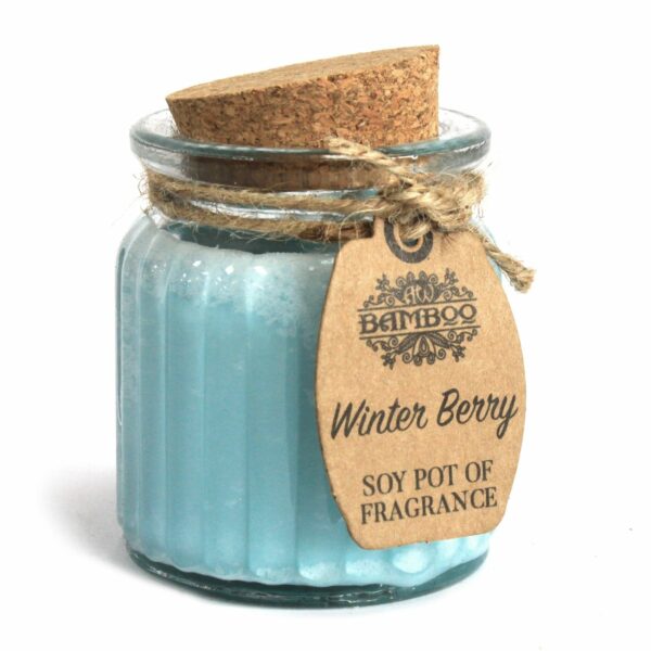 Winter Berry Soy Pot of Fragrance Candles - Image 4
