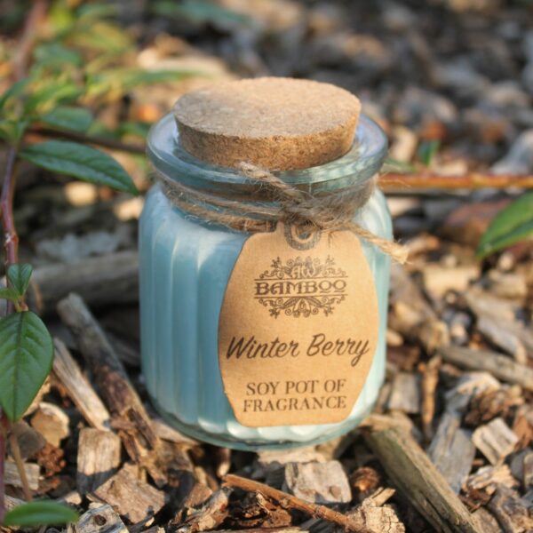 Winter Berry Soy Pot of Fragrance Candles - Image 5