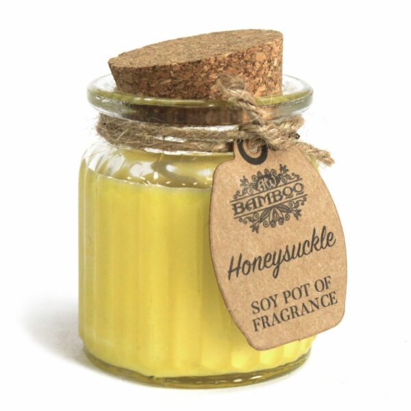 Honeysuckle Soy Pot of Fragrance Candles - Image 4