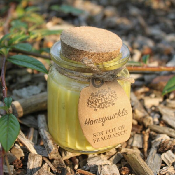 Honeysuckle Soy Pot of Fragrance Candles - Image 5
