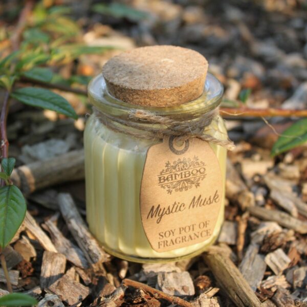 Mystic Musk Soy Pot of Fragrance Candles - Image 5