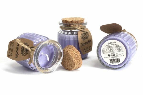 Vanilla Soy Pot of Fragrance Candles - Image 3