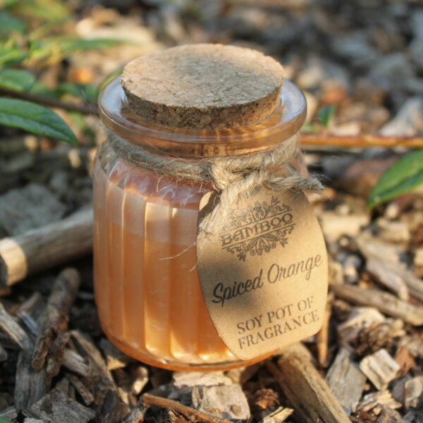 Spiced Orange Soy Pot of Fragrance Candles - Image 5