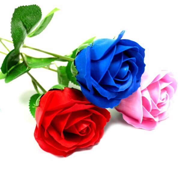 Single Rose - Blue  Rose - Image 3