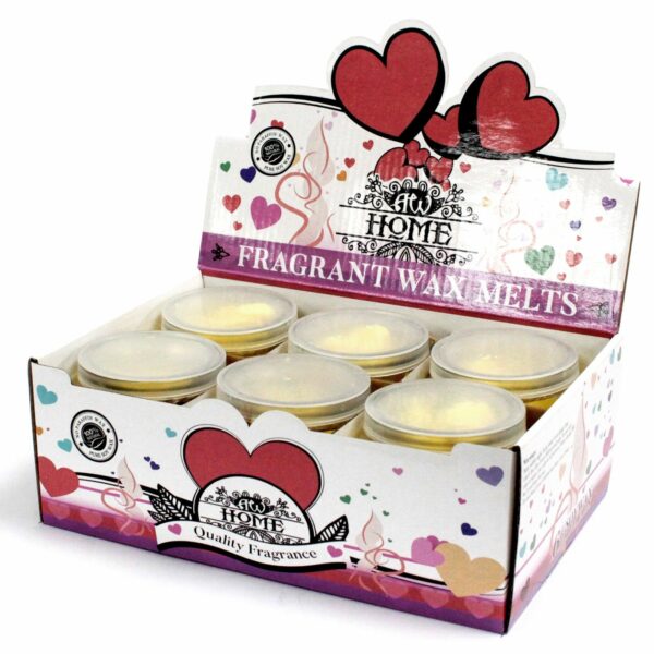 Soywax Melts Jar - Mango Fruits - Image 6