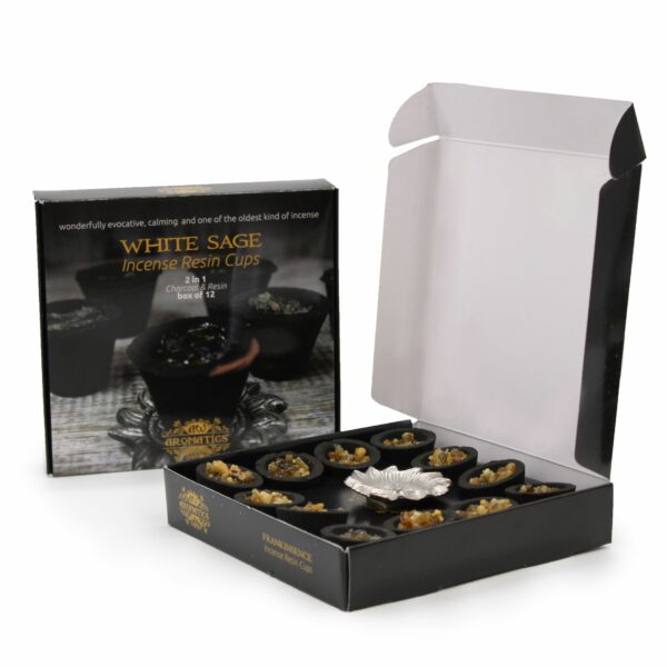 Box of 12 Resin Cups - Three Kings - Image 2