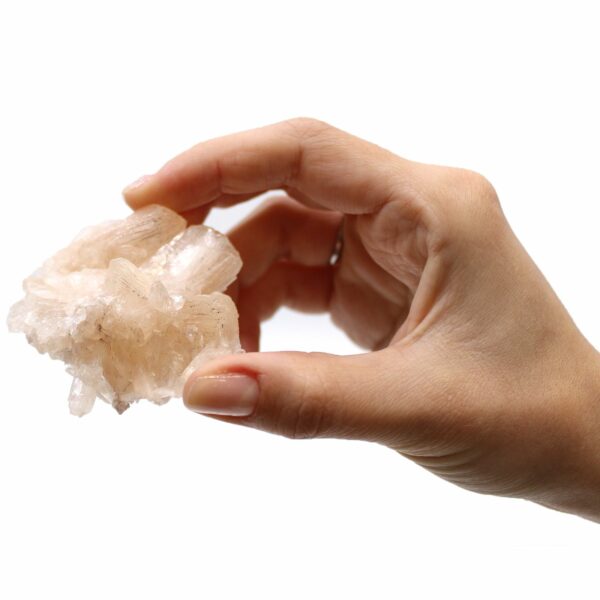 Stilbite Combination with Appophyllite 20-30mm - Image 14