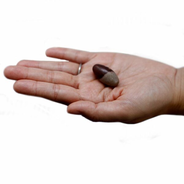 One Inch Lingam - 3 Stones - Image 5