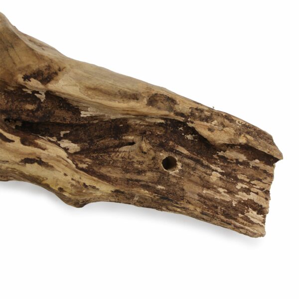 Molten Glass on Wood - Hanging Bowl - Image 10