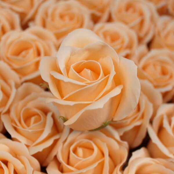Craft Soap Flowers - Med Rose - Peach - Image 3