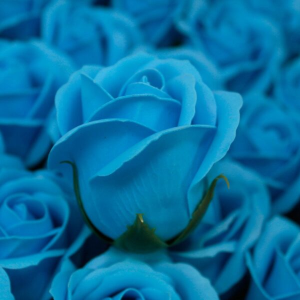 Craft Soap Flowers - Med Rose - Sky Blue - Image 2