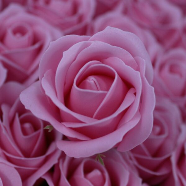 Craft Soap Flowers - Med Rose - Blush - Image 2