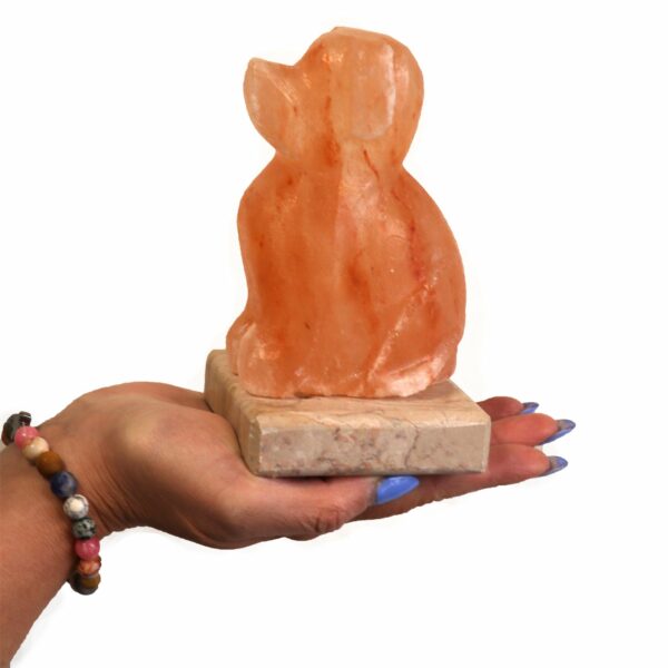 USB Dog Shaped (Multi) - Image 2