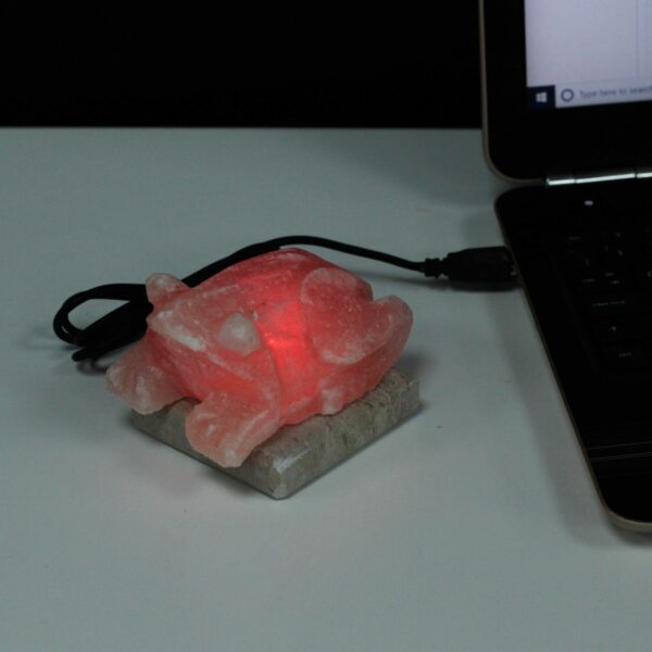 USB Toad Shaped (Multi) - Image 2