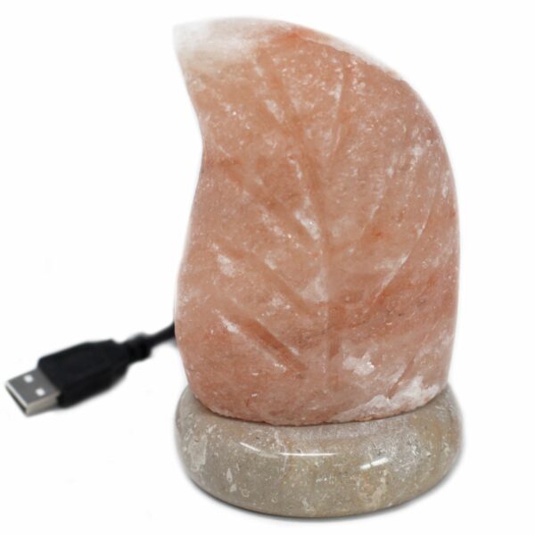 USB leaf Shaped (Multi) - Image 2