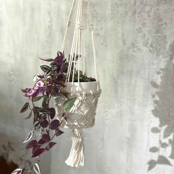 Macrame Pot Holder - Single Small Pot - Image 9