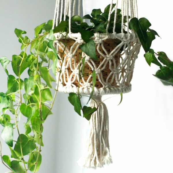 Macrame Pot Holder - Double Holder - Image 5