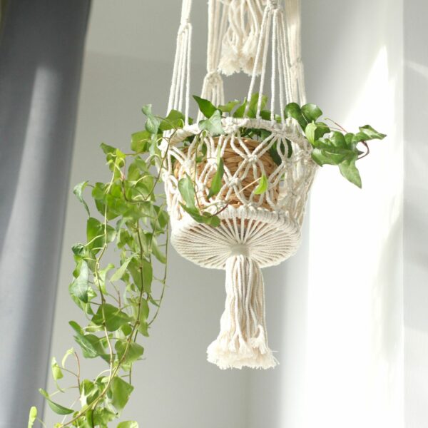 Macrame Pot Holder - Double Holder - Image 7