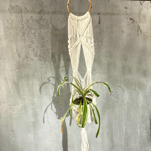 Macrame Pot Holder - Long With Ratten Hoop - Image 11