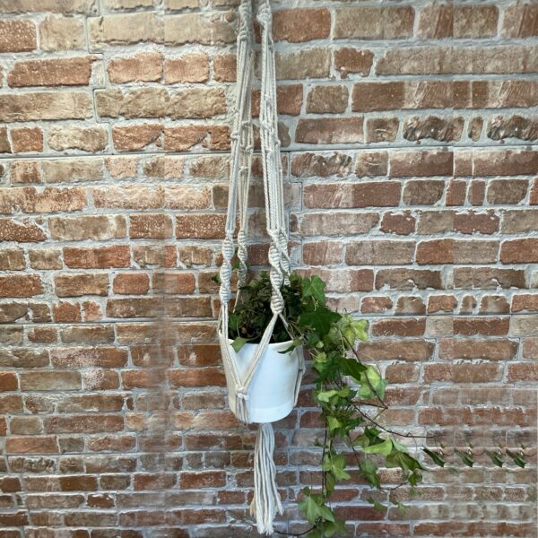 Macrame Pot Holder - Large Pot Holder - Extra Long - Image 6