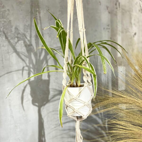 Macrame Pot Holder - Large Pot Holder - Extra Long - Image 10