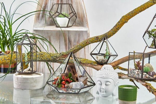 Glass Terrarium - Small Diamond - Image 4