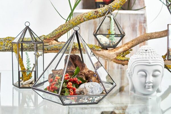 Glass Terrarium - Small Diamond - Image 5