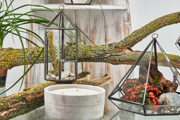 Glass Terrarium - Lantern Shape - Image 3