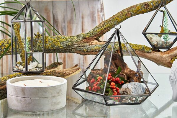 Glass Terrarium - Large Diamond - Image 3