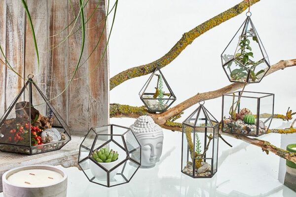 Glass Terrarium - Cube on Corner - Image 3