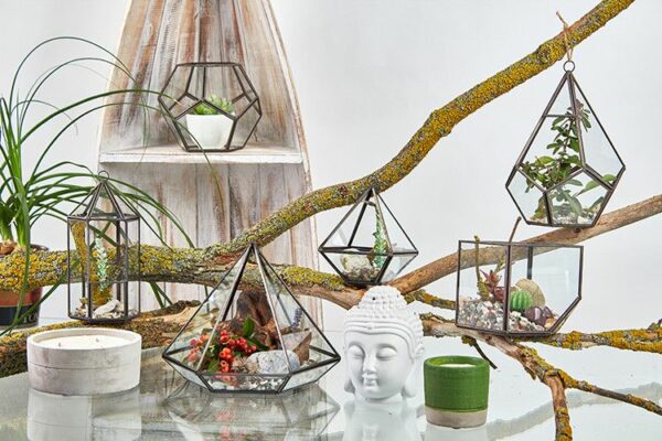 Glass Terrarium - Cube on Corner - Image 4