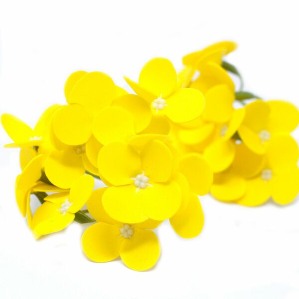 Craft Soap Flowers - Hyacinth Bean - Yellow - Image 2