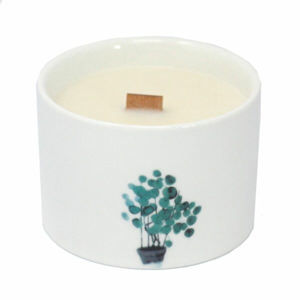 Med Botanical Candles - Lemon Honeysuckle - Image 2