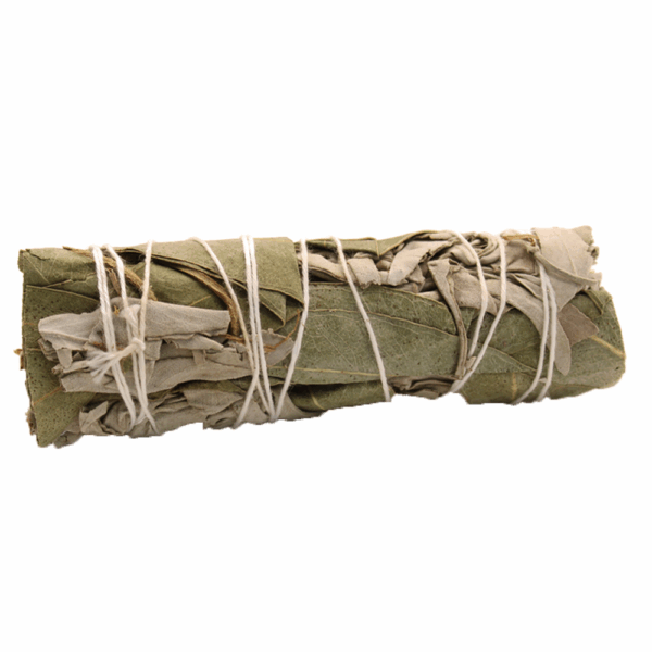 Smudge Stick - White Sage & Juniper 10cm - Image 3